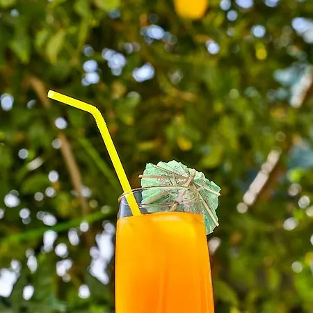 Luxury M&n In - Free Parking Apartamento