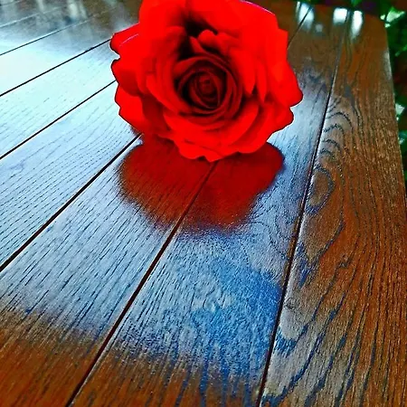 Luxury M&n In - Free Parking Split