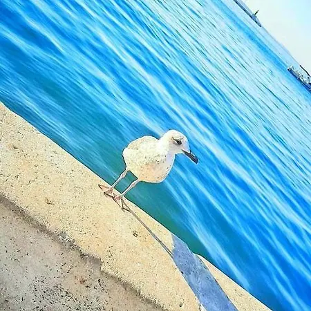 Luxury M&n In - Free Parking Apartment *