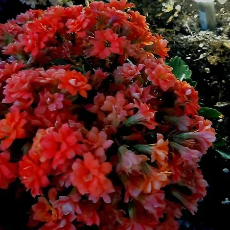 Apartment Luxury M&n In - Free Parking *