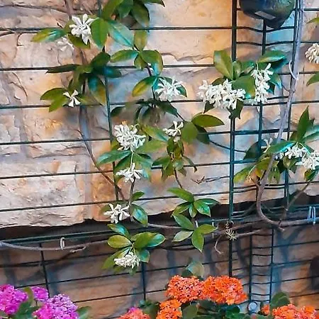 Апартаменти Luxury M&n In - Free Parking Спліт