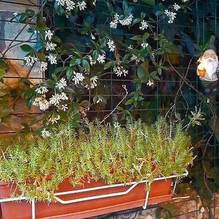 Апартаменти Luxury M&n In - Free Parking *