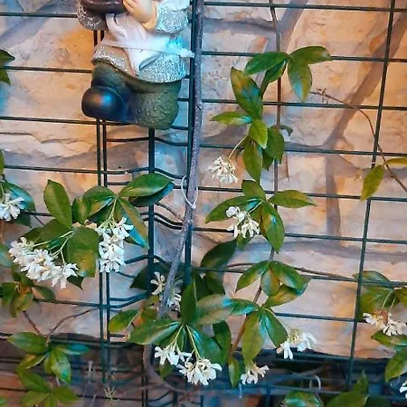 Luxury M&n In - Free Parking *