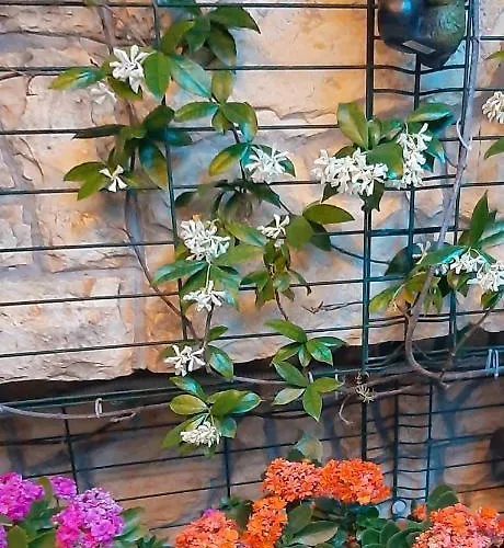 Apartment Luxury M&n In - Free Parking Split