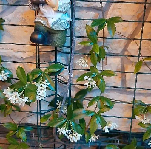 Luxury M&n In - Free Parking *