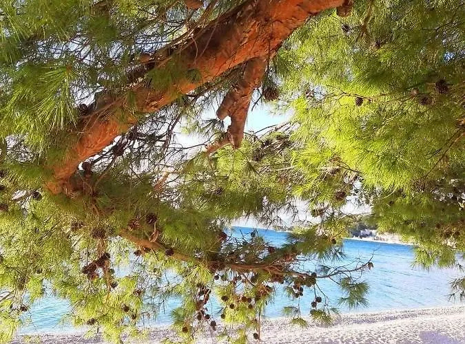 Luxury M&n In - Free Parking *