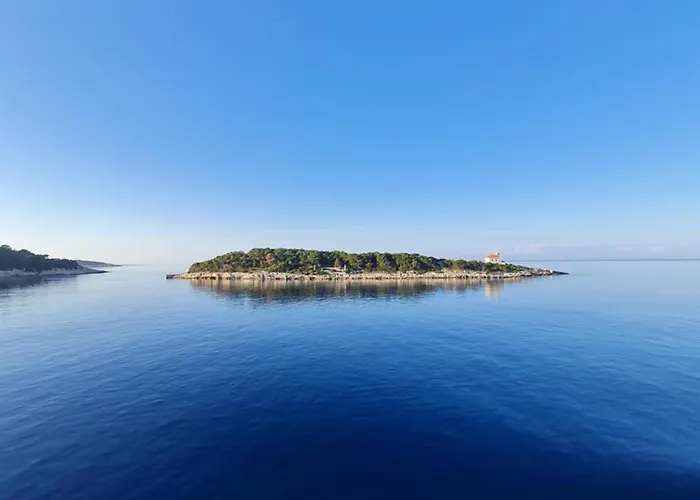 Luxury M&n In - Free Parking Split